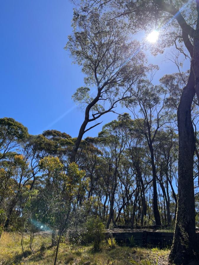 Katoomba Hideaway - Free Wifi, Netflix, Disney Plus Exterior photo